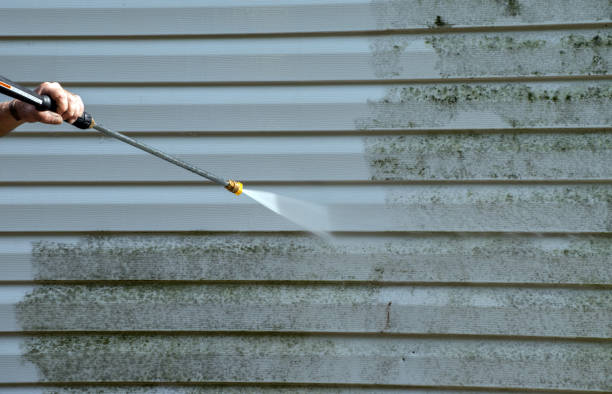 Best Roof Pressure Washing  in Chattanooga, TN